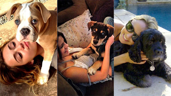 Miley Cyrus, Selena Gomez, Stacy Keibler, Puppy, Twitter Miley Cyrus, Selena Gomez, Stacy Keibler, Puppy, Twitter